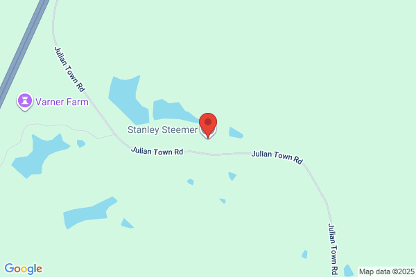 Stanley Steemer Carpet Cleaner