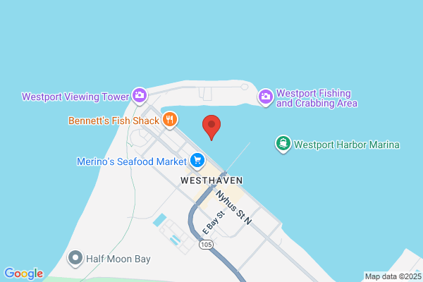 Seafood Connections