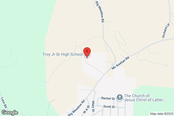 Troy High School