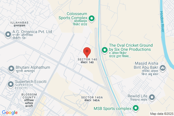 Integrated Information Services Inc