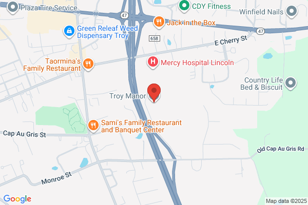 Troy Manor Llc