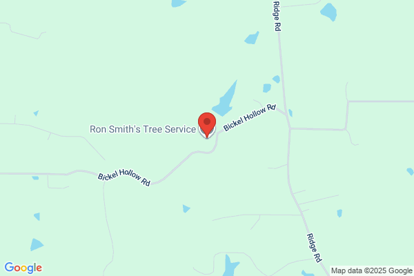 Ron Smiths Tree Service