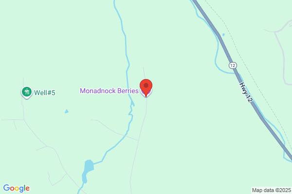 Monadnock Berries