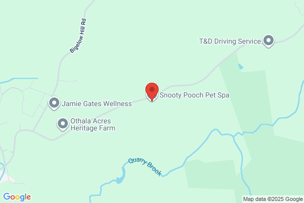 Snooty Pooch Pet Spa