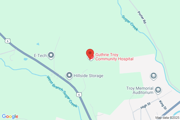 Guthrie Troy Community Hospital Laboratory Services