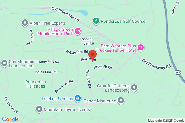Truckee Electric