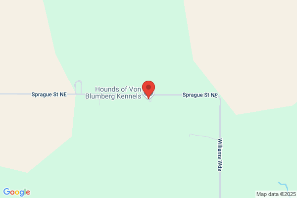 Hounds of Von Blumberg Kennels