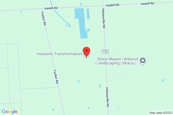 Heavenly Transformations Salon