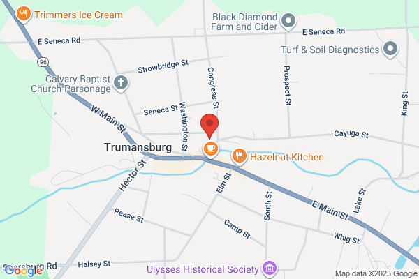 Trumansburg Conservatory of Fine Arts Inc