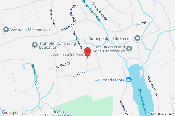 Acer Tree Service LLC