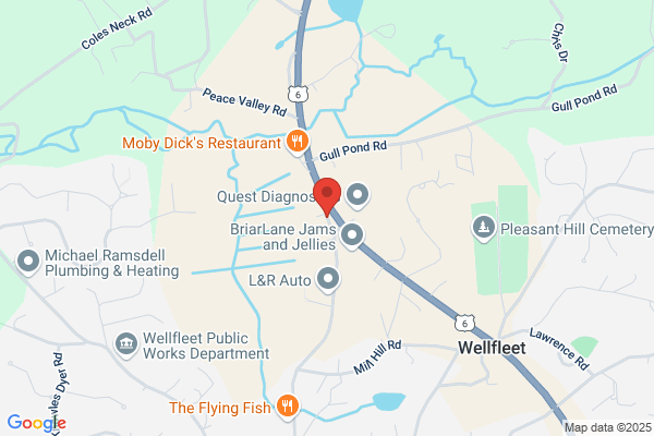 Lower Cape Veterinary Services - Duck Creek