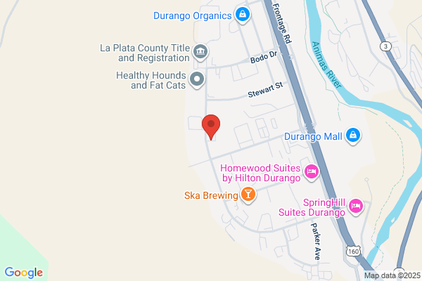 Durango Plastering