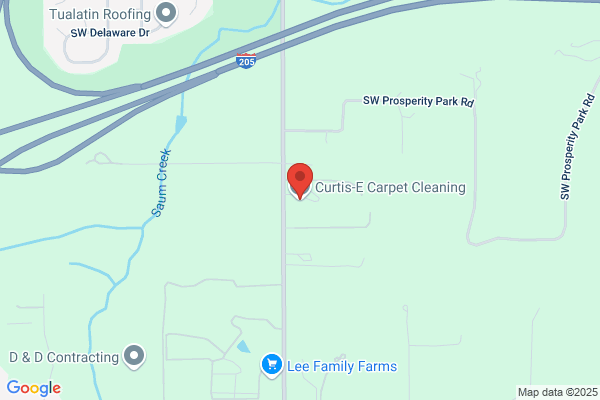 Curtis-E Carpet Cleaning