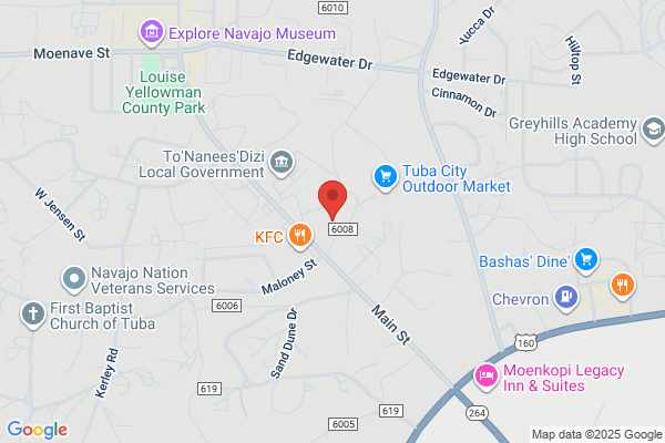 Navajo Nation the, Community Health Representative