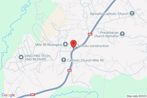 Tummolo Construction
