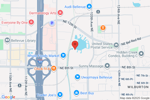 American Property Consultants