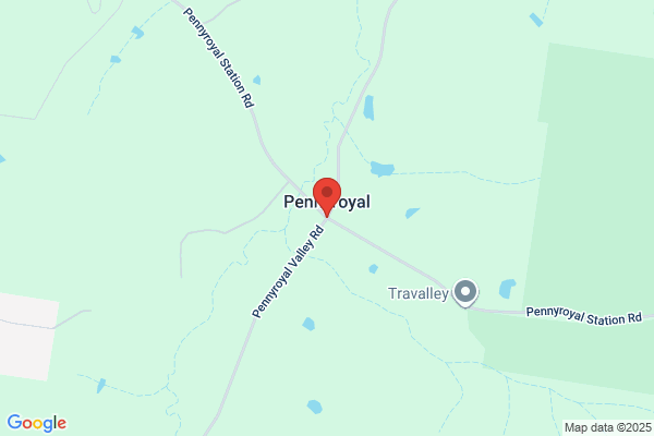 Pennyroyal