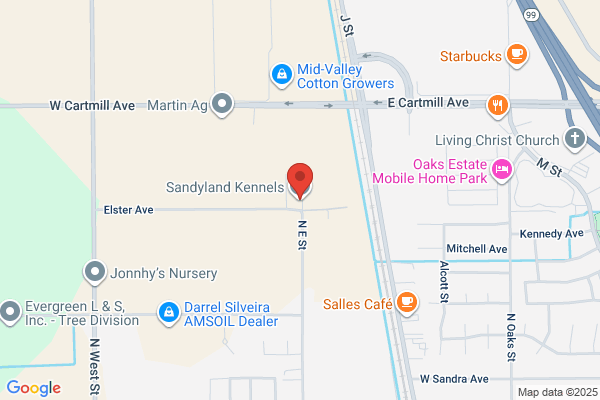 Sandyland Kennels