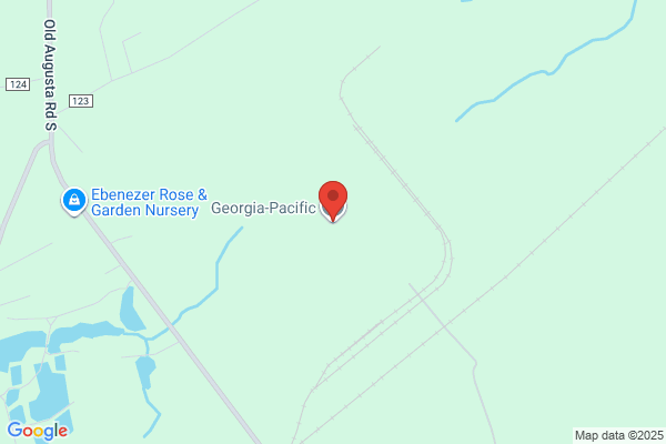Georgia Pacific