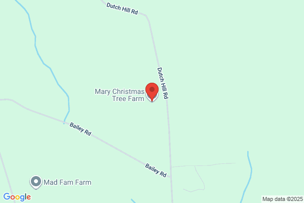 Mary Christmas Tree Farm