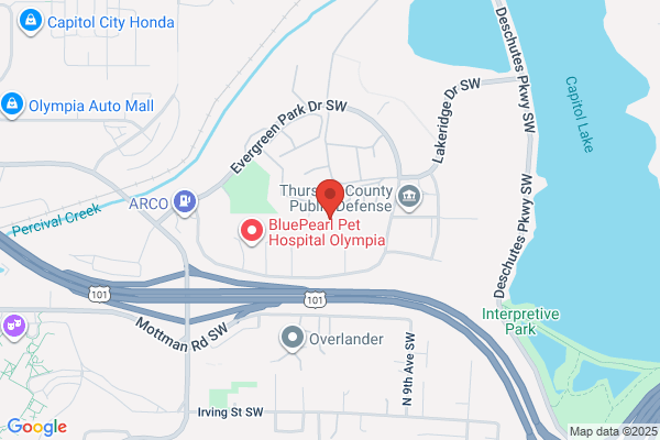 Moore Jamie M Attorney