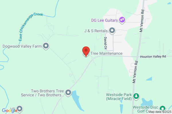Tree Maintenance Company