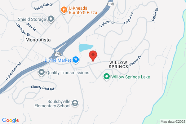 Willow Springs Association
