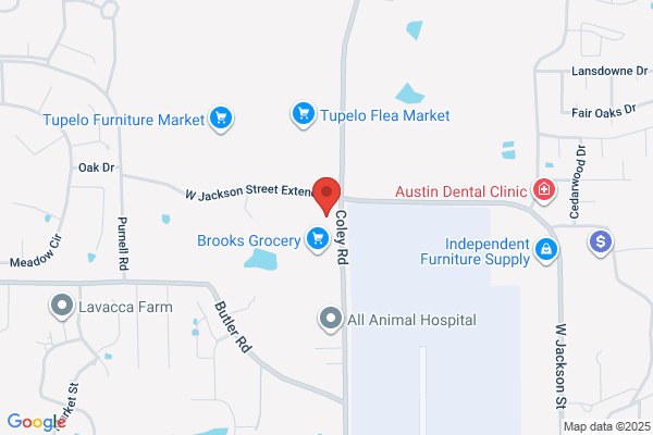 Kenneth Johnson Pediatric Dentistry