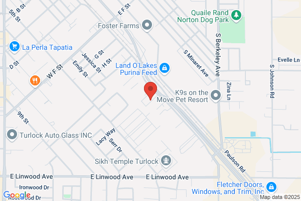 Nicks Auto Electric