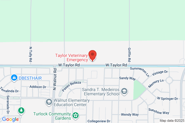 Taylor Veterinary Hospital