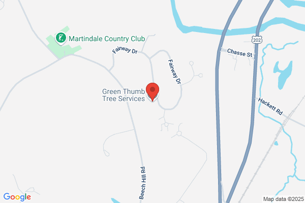 Green Thumb Tree Services