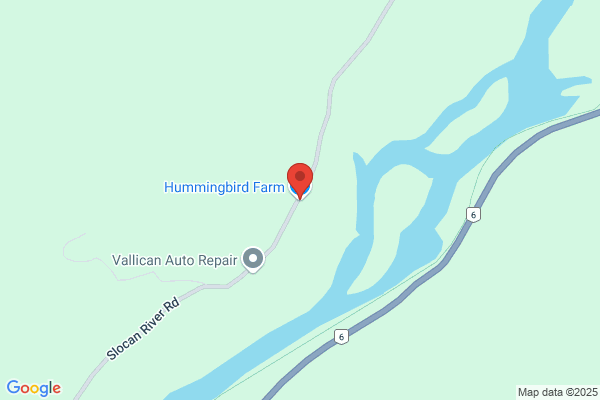 Hummingbird Farm