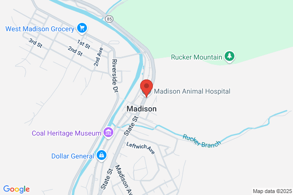 Madison Animal Hospital