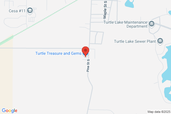 Turtle Treasure and Gems