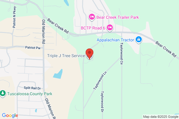 Triple J Tree Service LLC