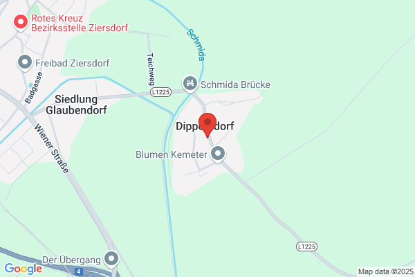 Wenzl, Daniel J MD - Wenzl Daniel J MD