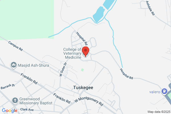 Habtemariam, Tsegaye - College of Veterinary Medicine