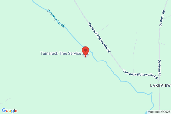 Tamarack Tree Service