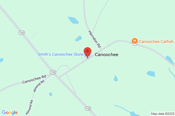 Canoochee Store