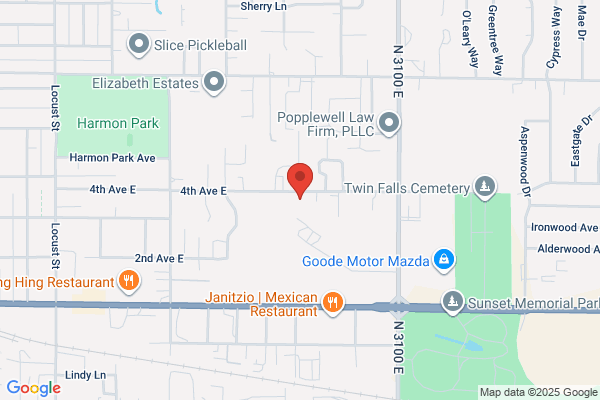 Magic Valley Professional Services