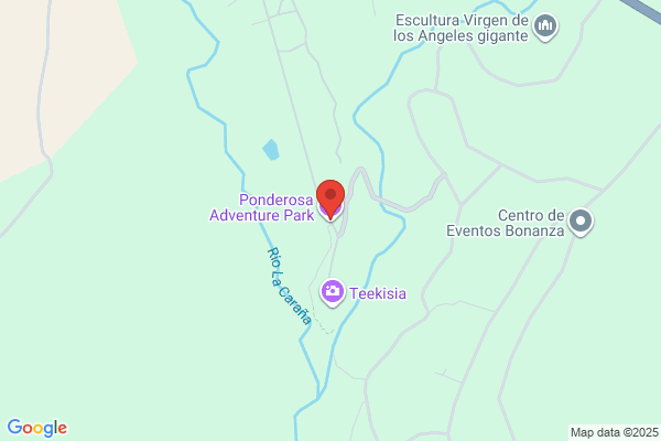 Ponderosa Travel