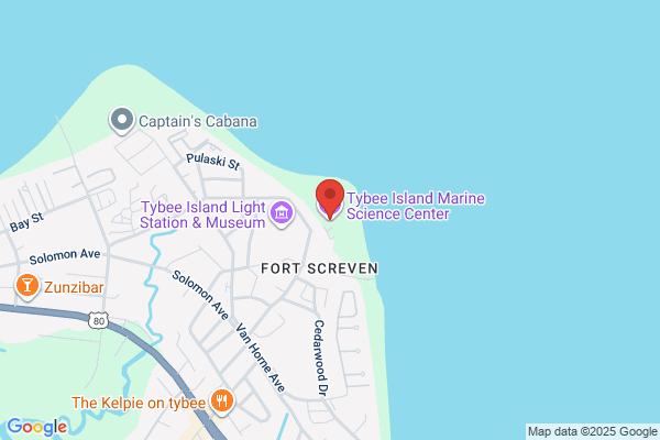 Tybee Island Marine Science Center