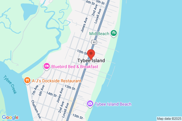 Tybee Island On Line