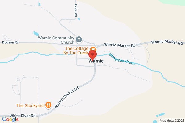 Wamic Store