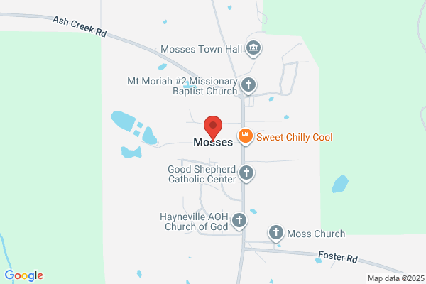 Town of Mosses