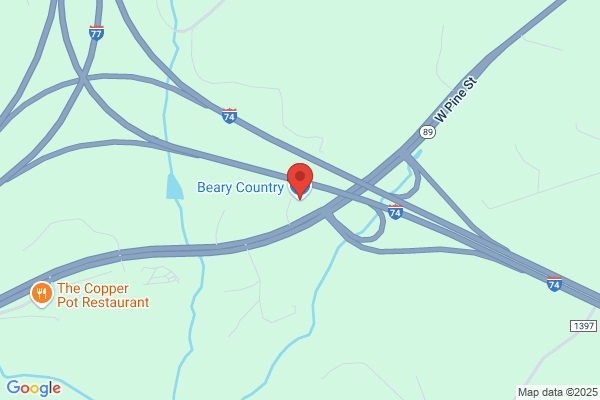 Country Bear Antiques