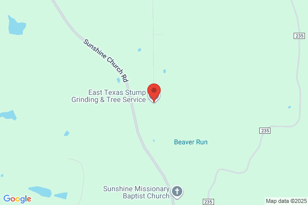 East Texas Tree Service