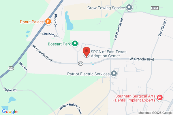 East Texas Animal Rescue Fund