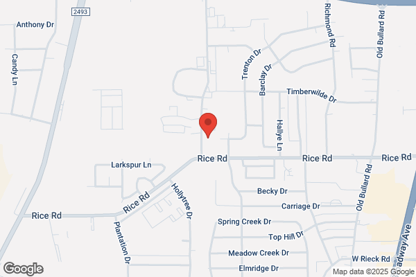 East Texas Children's Therapy Services
