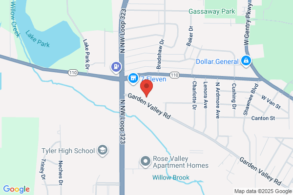 Director of Nursing